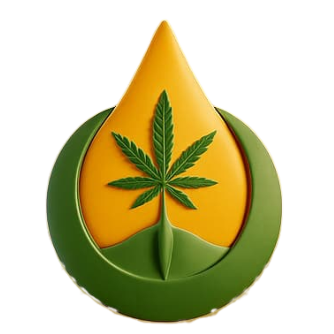 Fundación Terra Santa Argentina