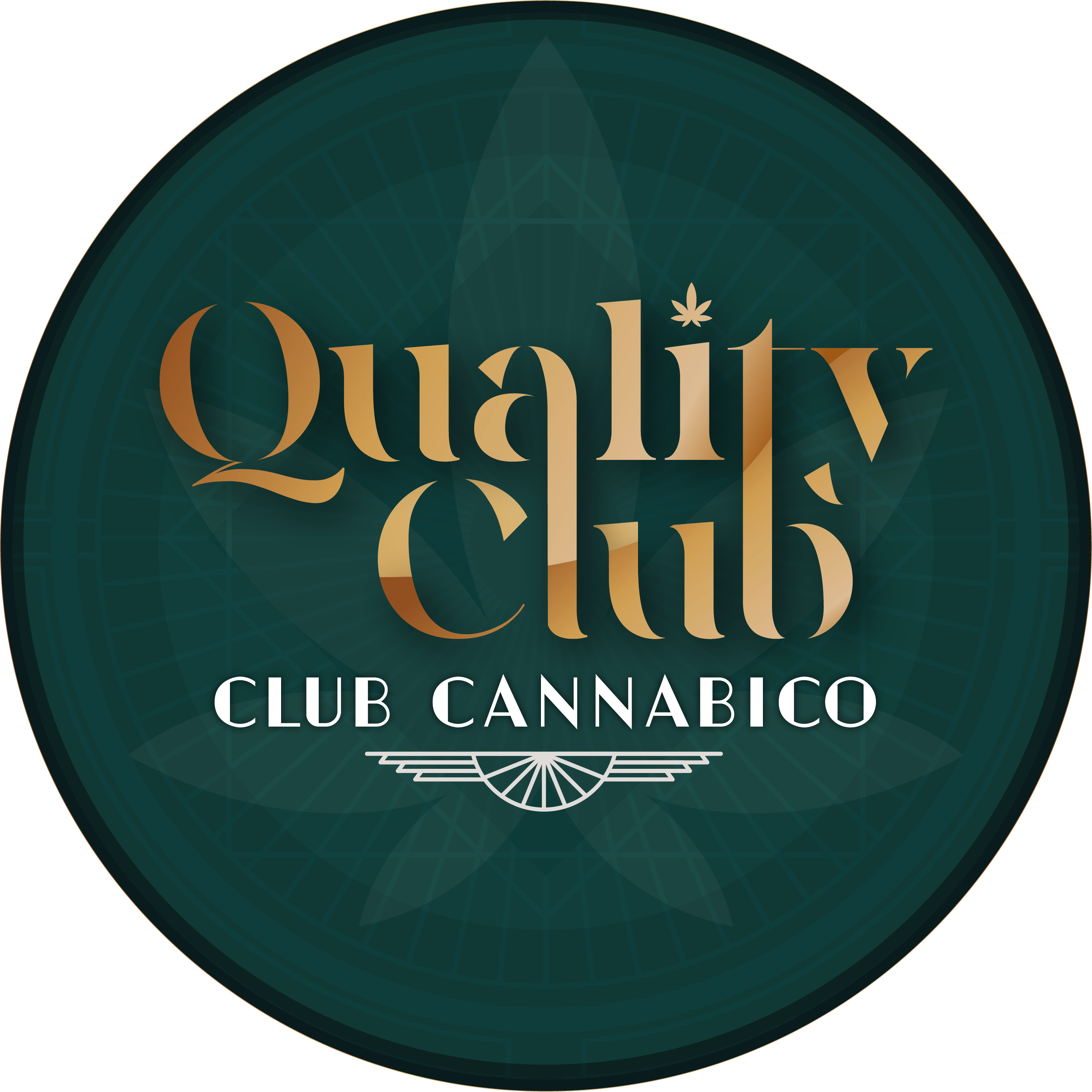 Logo de Quality Asociación Civil